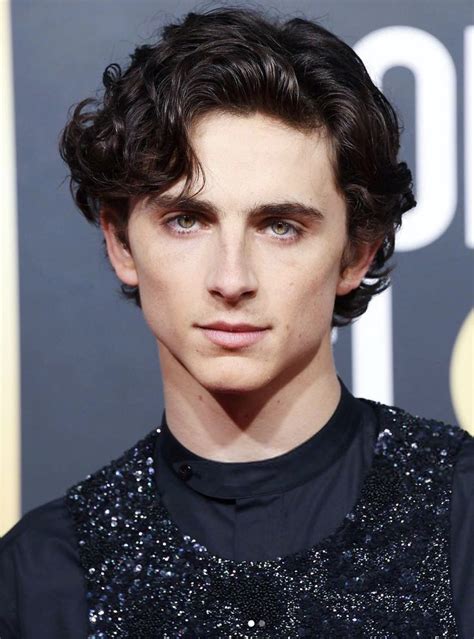 Timothée Chalamet, Golden Globes 2019 | Timothee chalamet, Beautiful boys, Portrait