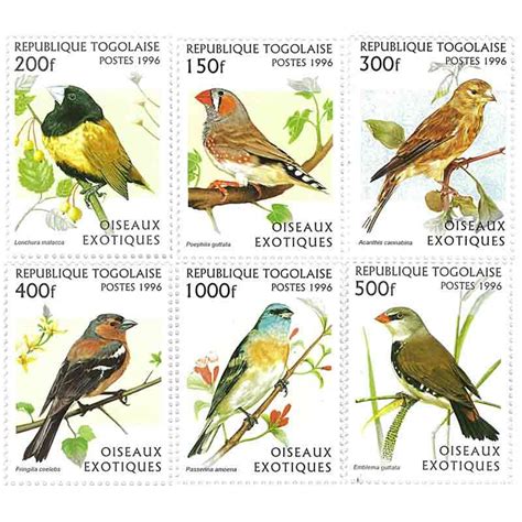 Togo Stamp, 1996 Bird, Wildlife, Flower, Nature – International House ...