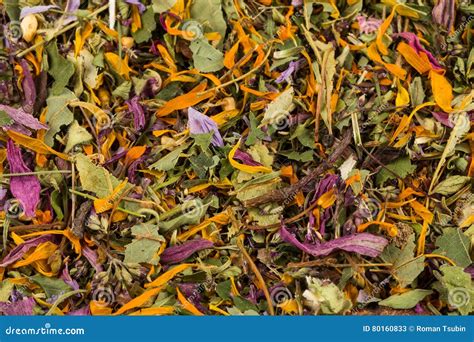 Dried herbal tea leaves stock image. Image of natural - 80160833