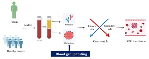 Blood Grouping - Biorex Diagnostics - Primary Diagnostics Innovation