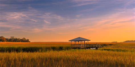 Savannah Sunset photo | Sunset photos, Landscape photographers, Sunset