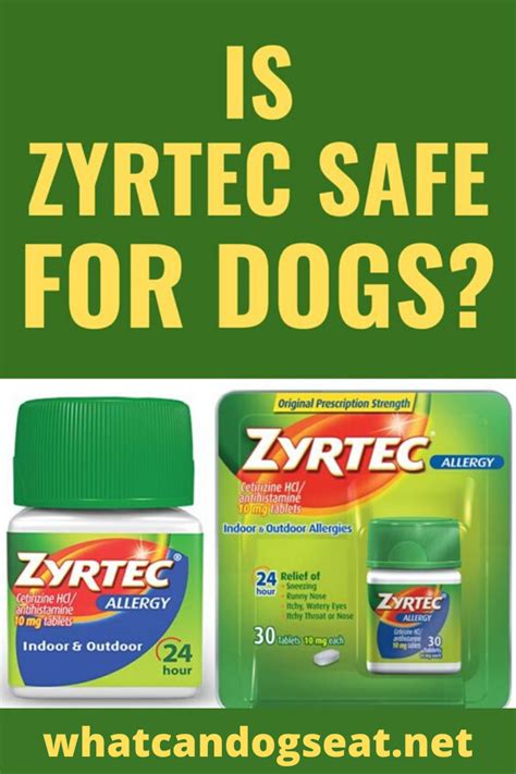 Is Zyrtec Safe for Dogs? | Dog allergies, Medicine safe for dogs, Zyrtec