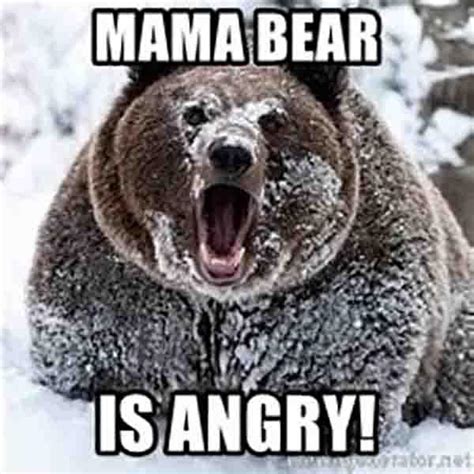 80 Best Bear Meme - Meme Central