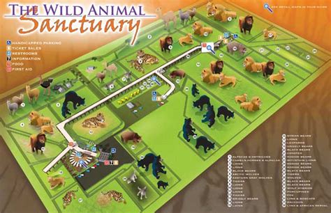 Animal Sanctuary Illustrated Map