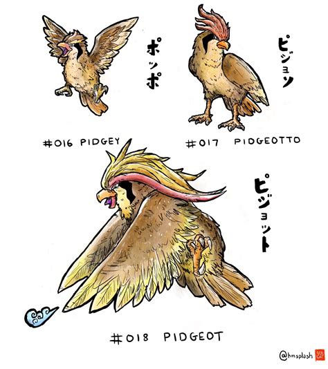 Pokemon Pidgey Evolution Chart