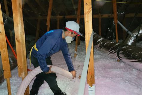 The Pros and Cons of Blown-In Attic Insulation | Pro Attic