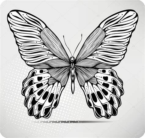 Butterfly, hand-drawing. Vector illustration. — Stock Vector © Mur34 #11578488