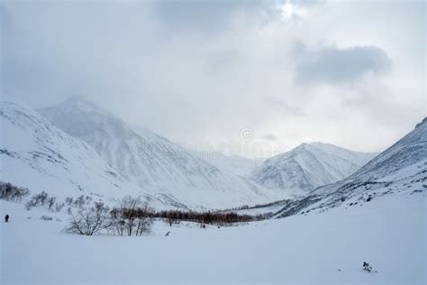 Baikal Mountains in Winter in Snow. Forest in Snow Covered Mount Stock Photo - Image of ...