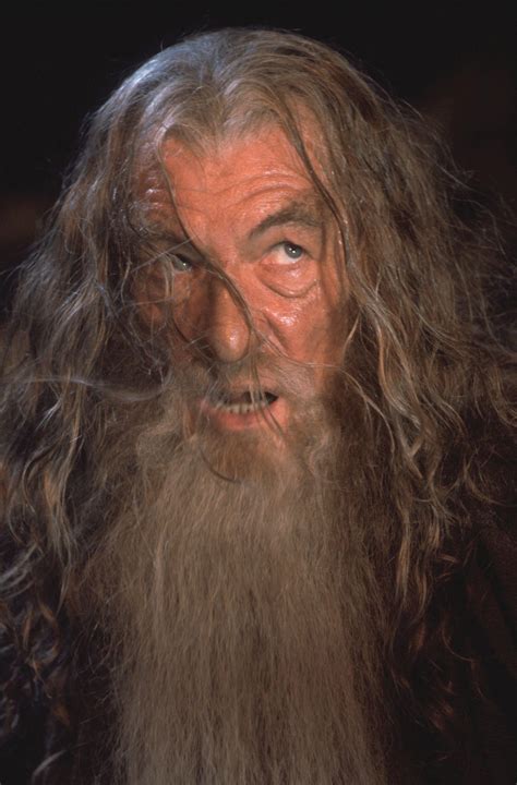 The Lord of the Rings - Ian McKellen Photo (40625426) - Fanpop