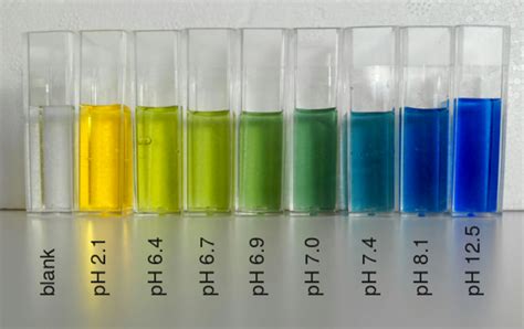 How does pH paper work? – matt harbowy – Medium