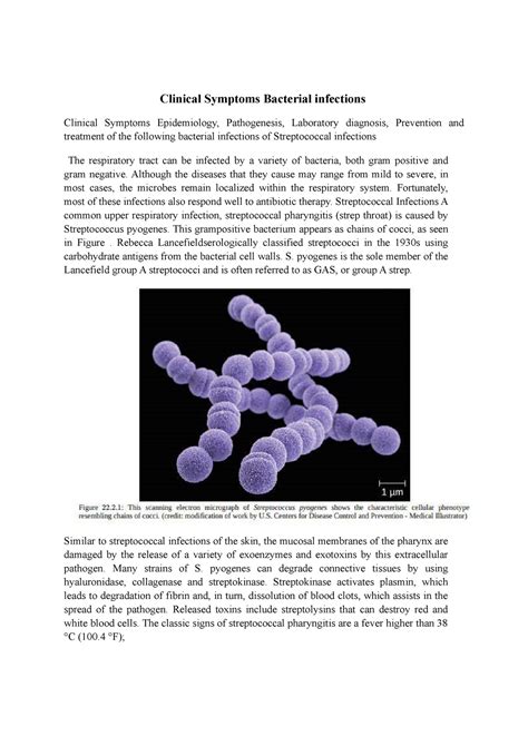 Clinical Symptoms Bacterial infections - Clinical Symptoms Bacterial infections Clinical ...