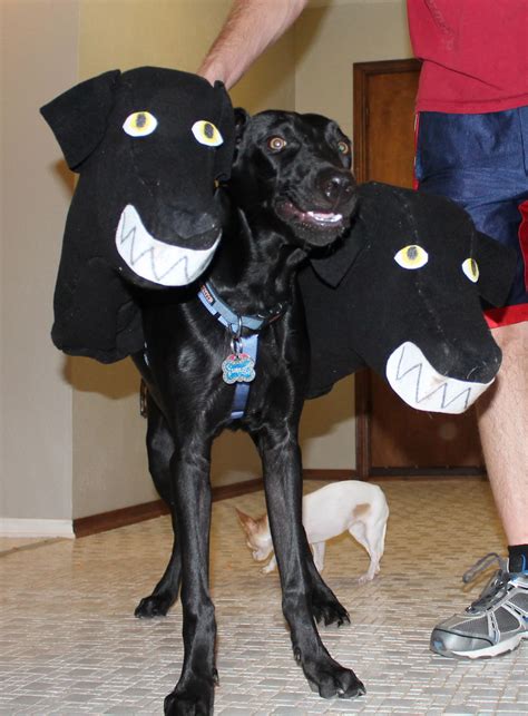 Two Headed Dog Costume