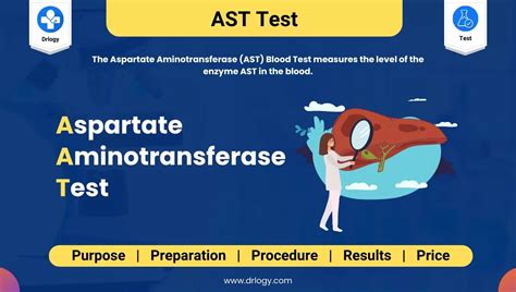 What is the treatment for high AST and ALT levels?