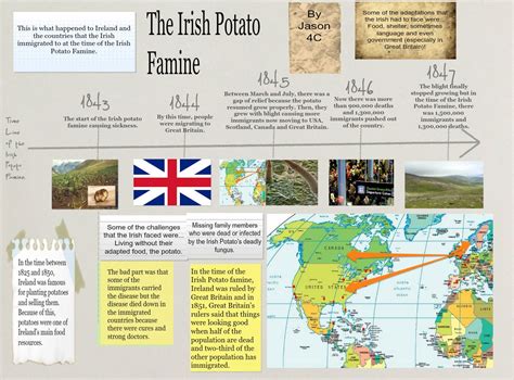 Image result for potato famine timeline poster | Potato famine, Irish potatoes, Potatoes