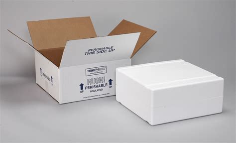 The Best Insulated Boxes For Shipping Frozen Food – Your Home Life