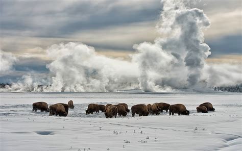 🔥 [40+] Yellowstone Wallpapers Widescreen | WallpaperSafari