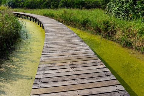 Bridge footpath stock photo. Image of bridge, outdoor - 153478438