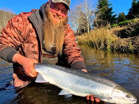 Washington State Fish: An Introduction to Steelhead Trout