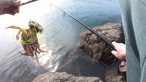 CRAB SNARING with CUSTOM SNARES @ Bodega Bay - YouTube