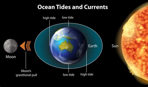 Earth, Moon, and Sun Interactions - D'Alice's World of Science