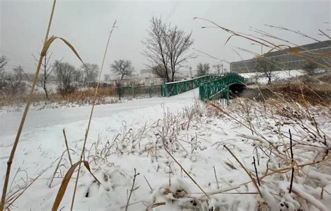 Winter weather blasts back into Manitoba with snowfall warnings | CBC News