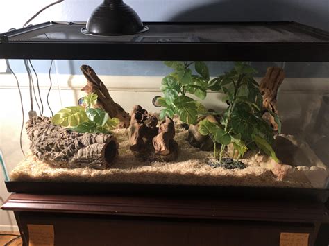 Pin by Clara Lua Vargas Guerra on tiraruru | Snake enclosure, Snake terrarium, Snake cages