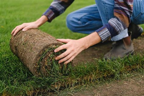 Sod Farming: How to Start a Successful Sod Farm