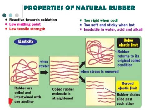 Chapter 12 rubbers