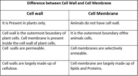 Difference between Cell Wall and Cell Membrane in tabular form