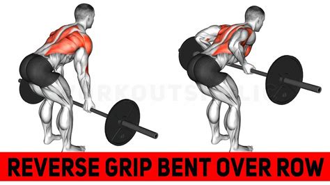 REVERSE GRIP BENT OVER ROW Exercise Tutorial - YouTube