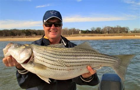 MARCH Striper Fishing MADNESS - Lake Texoma AssociationLake Texoma ...