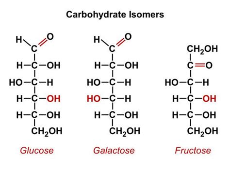 carbohydrate 炭水化物 | Chemistry textbook, Teaching chemistry, Organic ...