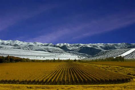 Mendoza Wine Tours and Snowcapped Mountains