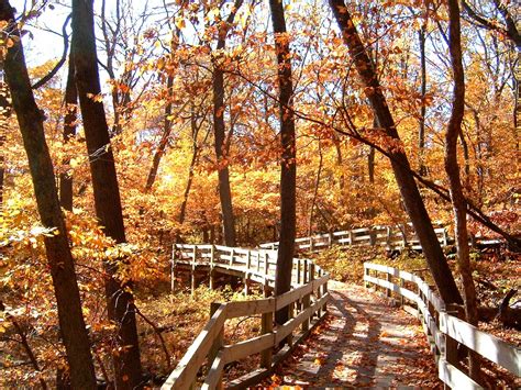 Fontenelle Forest's Boardwalk in fall. Bellevue, NE