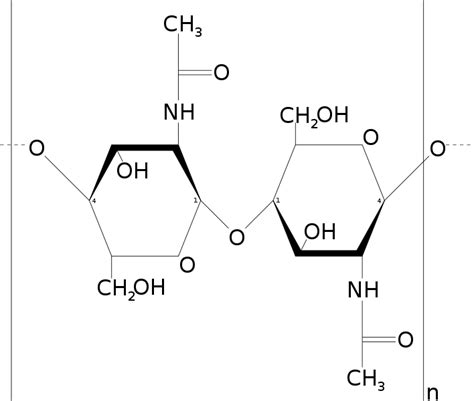 Chitin - wikidoc