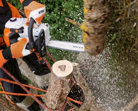 Best Stihl Chainsaw Reviews 2022 - Pro Tool Reviews