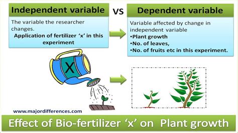 5 Differences between Independent variable and Dependent variable in Biology with Example - MD