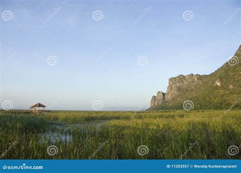 Wetland, Thung Sam Roi Yot, Thailand Stock Image - Image of country ...