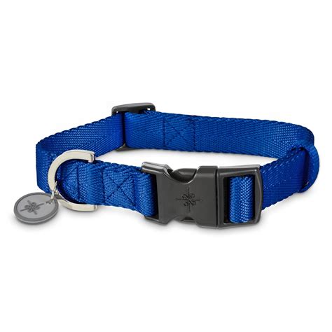 Good2Go Adjustable Blue Nylon Dog Collar | Petco Store