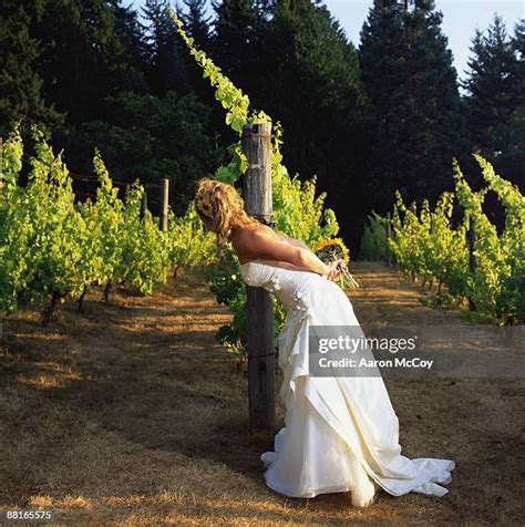 252 Vineyard Wedding Stock Photos, High-Res Pictures, and Images - Getty Images