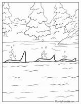20 Killer Whale Coloring Pages Free PDF Printables sketch template
