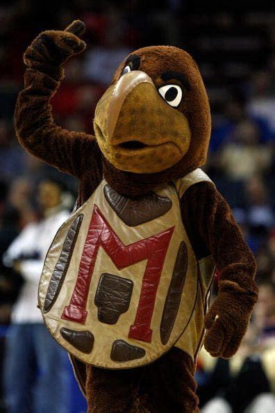 university of md mascot | university of maryland special collections 5 ...