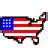 USA Icon