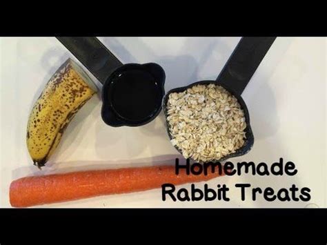 Homemade Rabbit Treats How To | AxelBunnyRabbit | Homemade rabbit treats, Bunny treats homemade ...