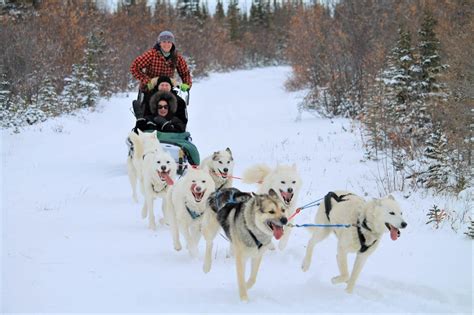 Dog Sledding Lianne Thompson | Good Nature Travel Blog