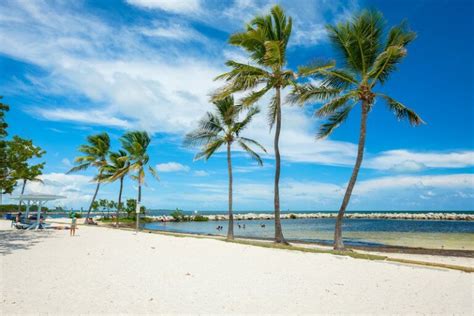 7 Gorgeous Beaches near Homestead, FL – Wild