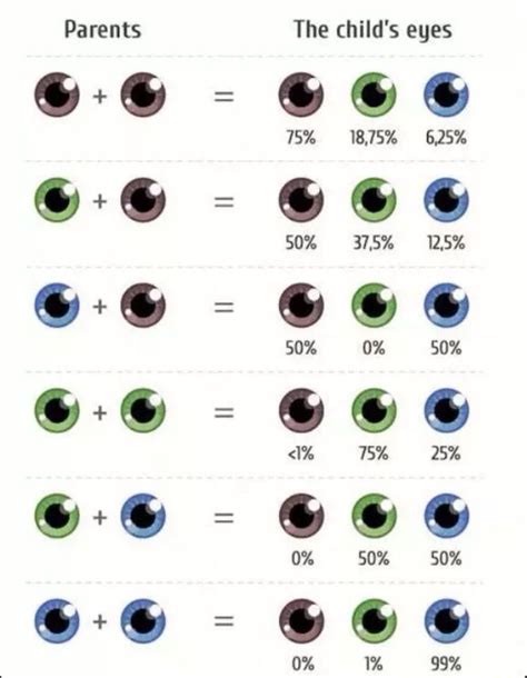 Eye color gene probability chart | Eye color chart, Eye color chart ...