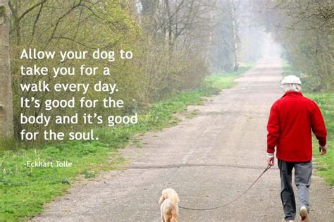 Allow your dog to take you for a walk every day. It's good for the body and it's good for the ...