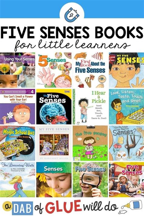 16 Books about the Five Senses for Little Learners