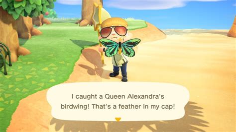 Animal Crossing: New Horizons: Queen Alexandra's Birdwing Price, Location & More